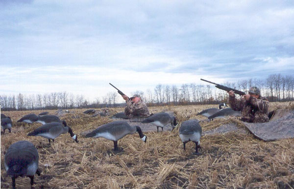 Sportsmen enjoying guided goose hunts in Alberta from Venture North Outfitting