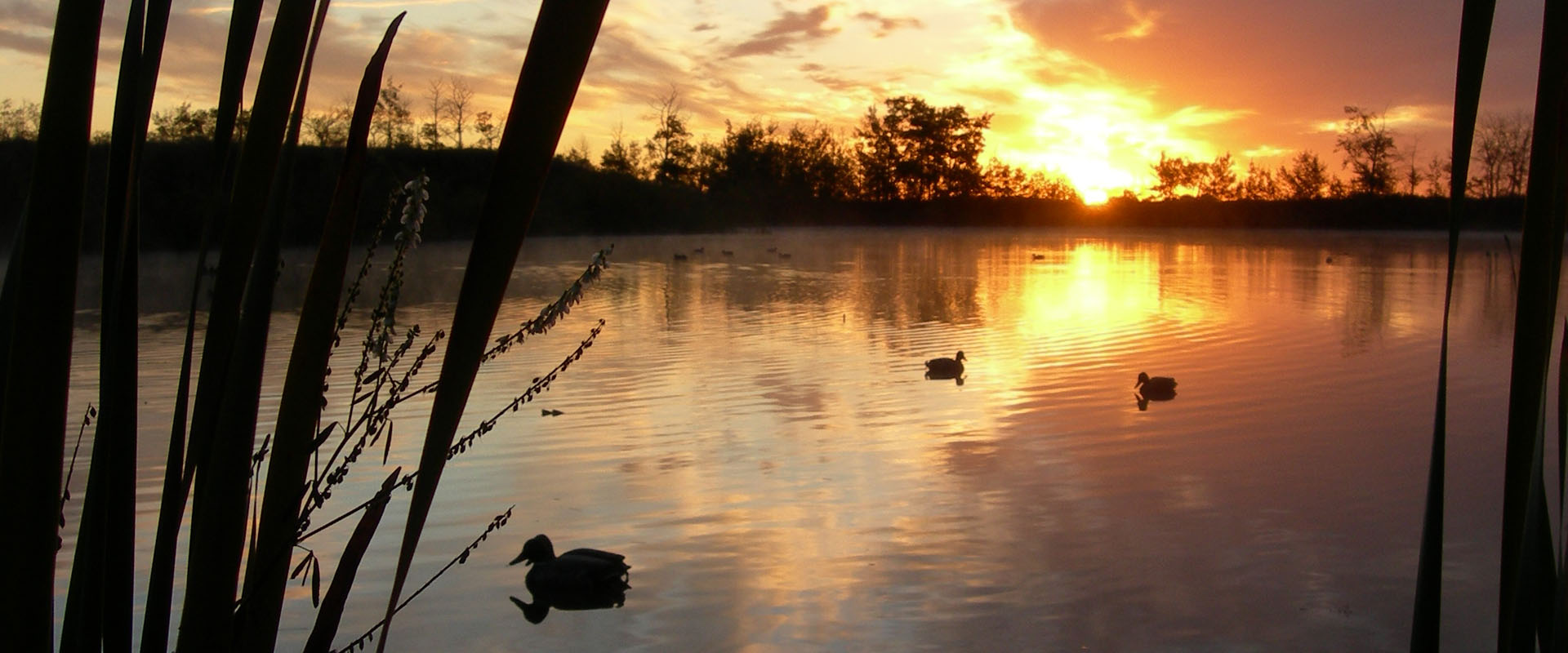 venture north waterfowl hunting alberta canada